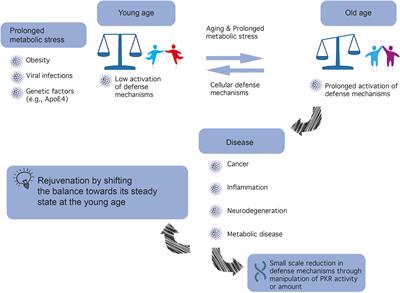 PKR: A Kinase to Remember